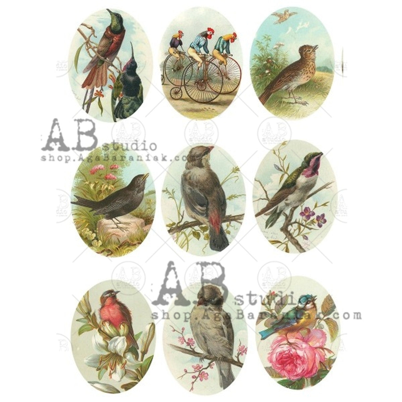 Bird Cameos Rice Paper (#0563) - AB Studios