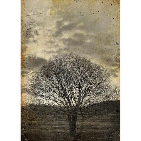 Sepia Tree - Decoupage Paper - MINT/GGS