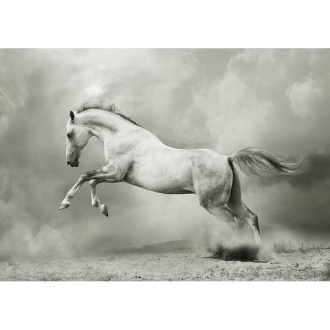 White Horse - Decoupage Paper - MINT/GGS