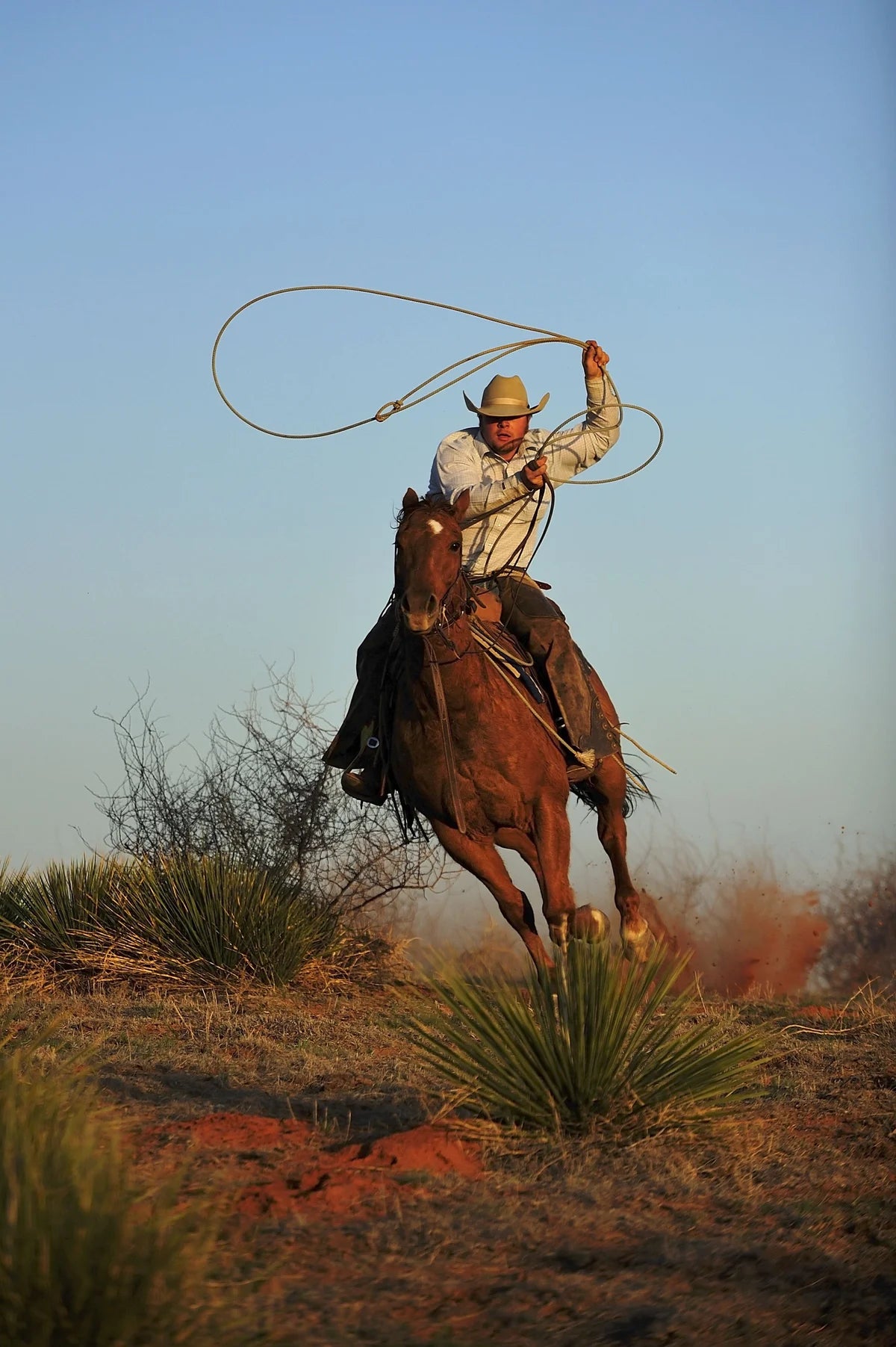 Cowboy Roper Decoupage Tissue - Deborah Bucher Designs