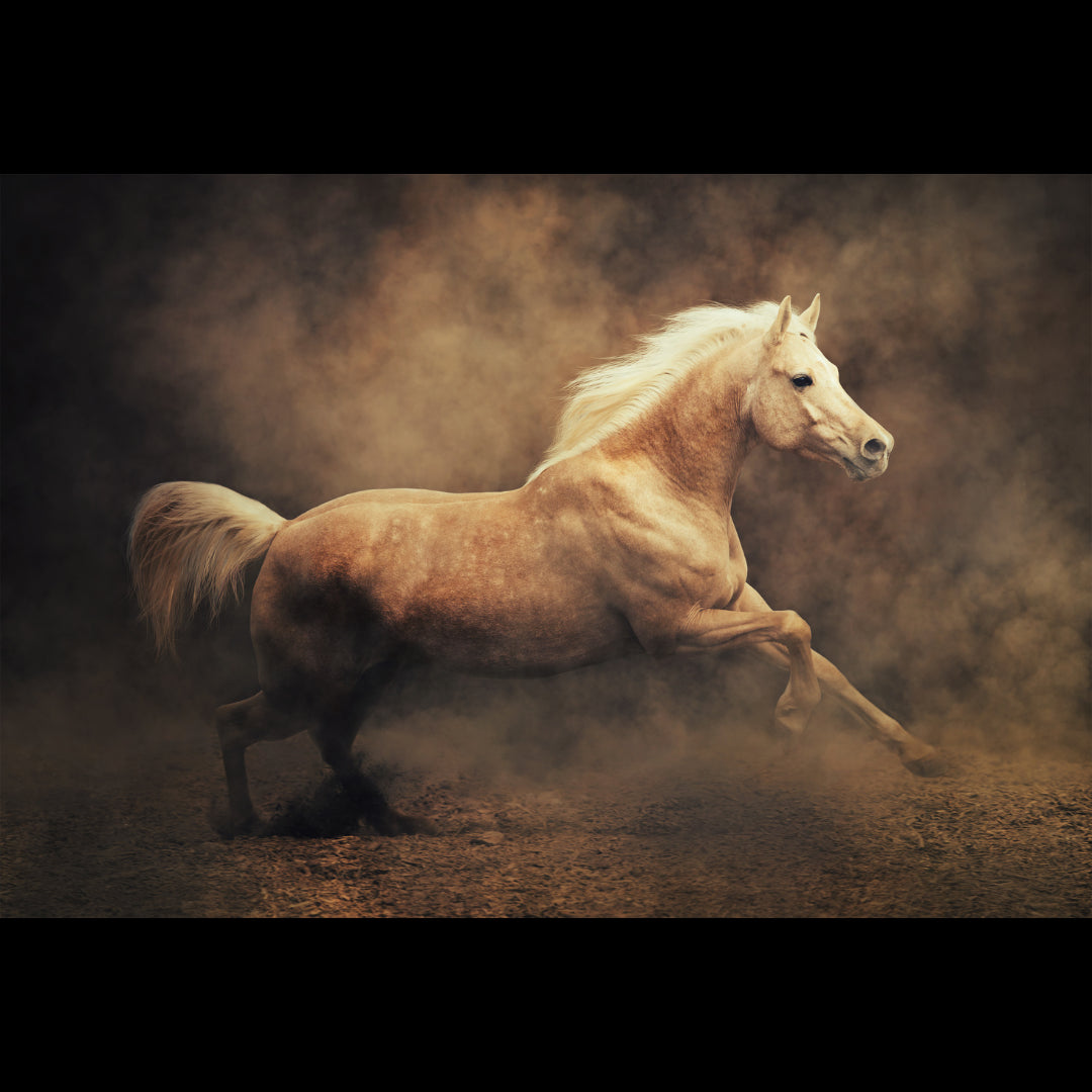 Palomino Horse Decoupage Tissue - Deborah Bucher Designs