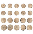 Wood Slices by Tim Holtz - NTS