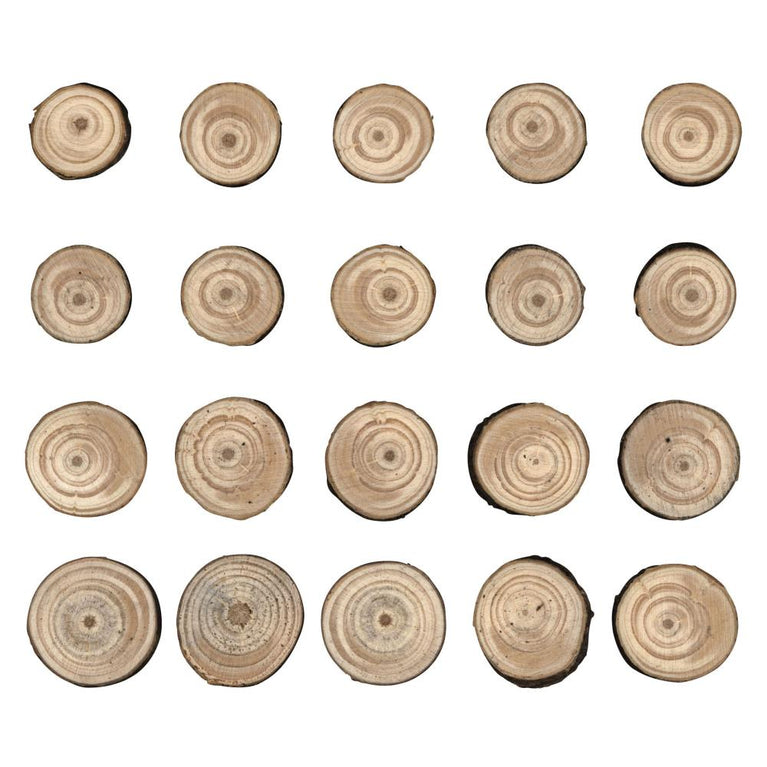 Wood Slices by Tim Holtz - NTS