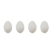 Tiny Eggs by Tim Holtz - NTS