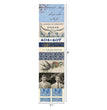Collage Strips by Tim Holtz - NTS