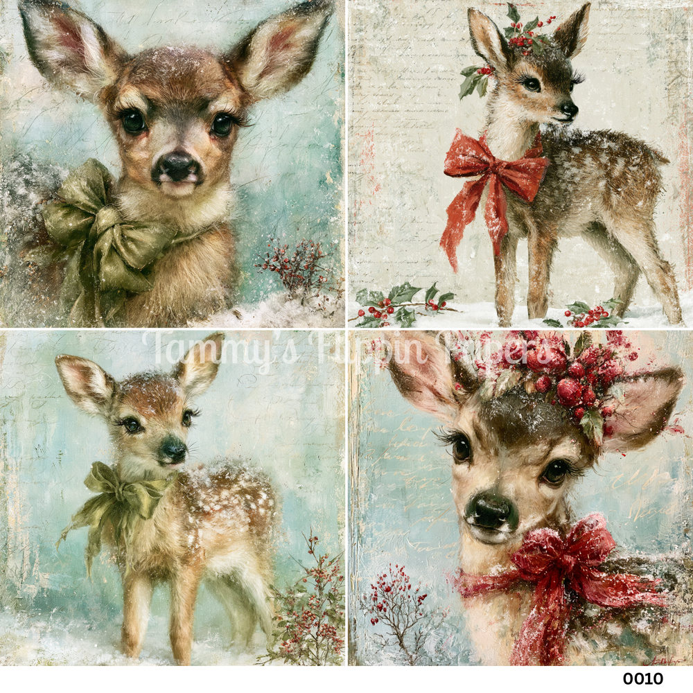 TFP Quad 0010 - Winter Fawns