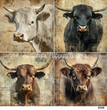 TFP Quad 0019 - Longhorn Legends