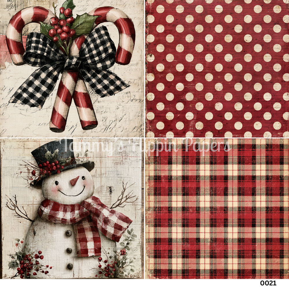TFP Quad 0021 - Candy Cane Cottage