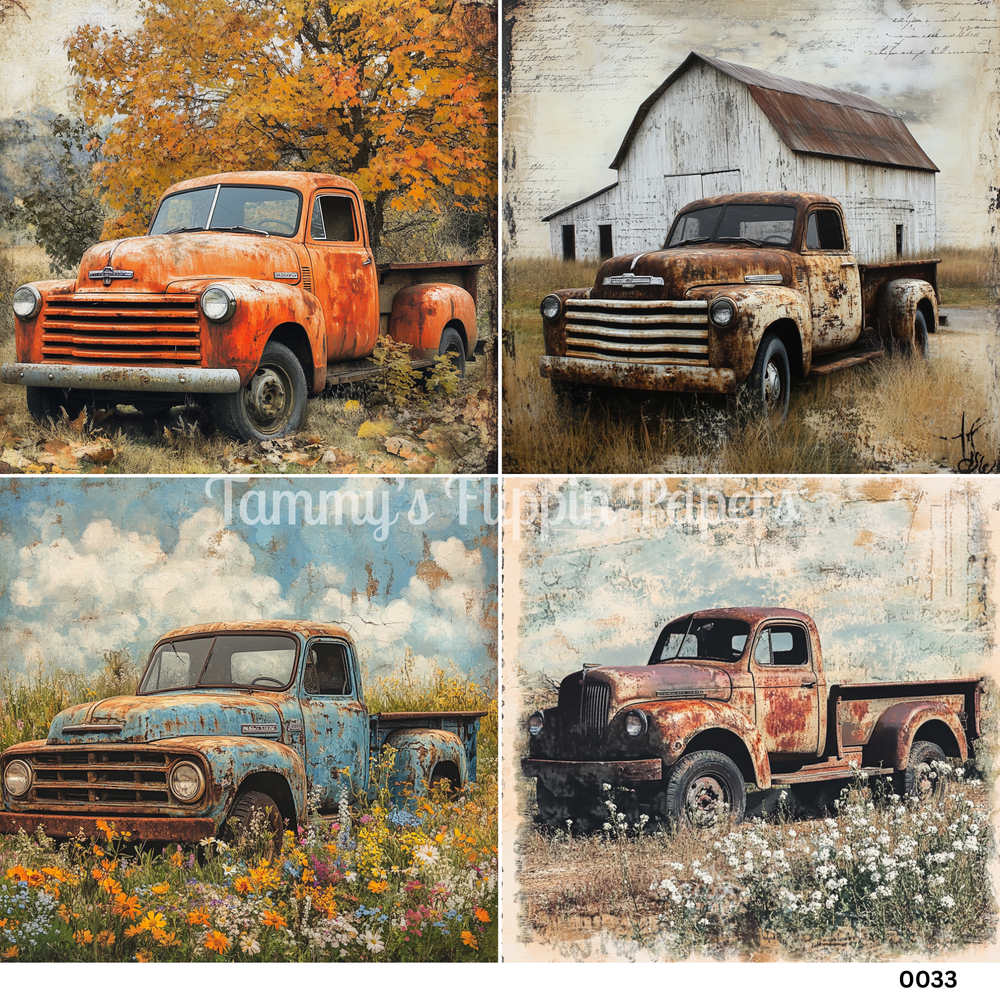 TFP Quad 0033 - Backroad Beauties