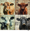 TFP Quad 007 - Barnyard Beauties