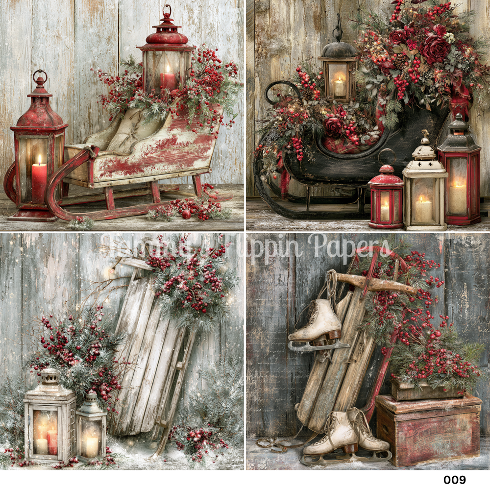 TFP Quad 009 - Lanterns & Sleigh Rides
