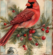 Christmas Cardinal on Teal Rice Paper (DC116) - Decoupage Central