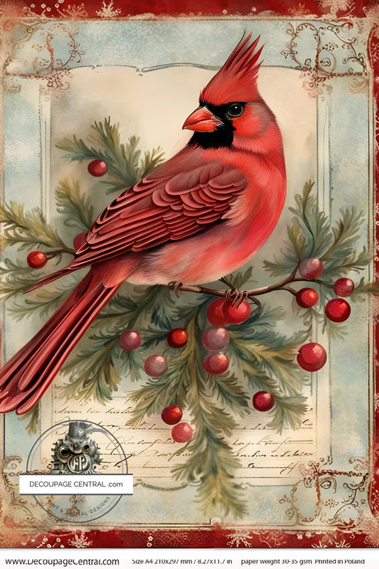 Christmas Cardinal on Teal A4 Rice Paper - Decoupage Central