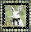 Polka Dot Patch Bunny Tissue Paper - Flippin Furniture