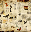 Halloween Masterboard 2 - Roycycled Decoupage Paper