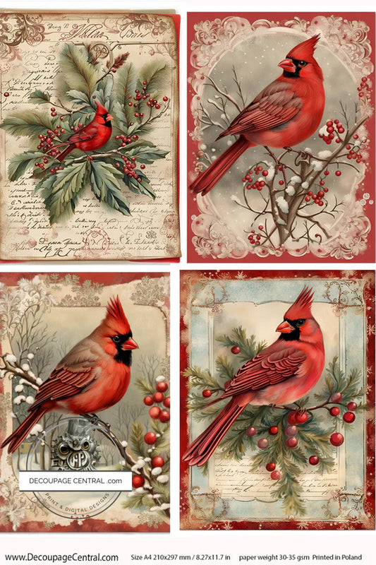 Cardinal Collection A4 Rice Paper - Decoupage Central