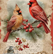 Pair of Cardinals Rice Paper (DC118) - Decoupage Central