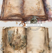 This Old Book Duo Rice Paper (DC182)- Decoupage Central