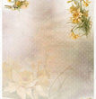 Spring Impressions Paper Pack (11 Papers) - Decoupage Queen