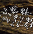 Chipboard Tropical Adventure, Corals - SnipArt