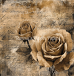 Sepia Rose Story Tissue Paper - Flippin Furniture