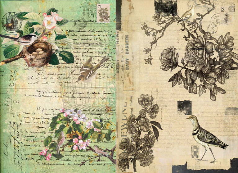 Botanical Blocks - Roycycled Decoupage Paper