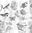 Paintable Botanical - Roycycled Decoupage Paper