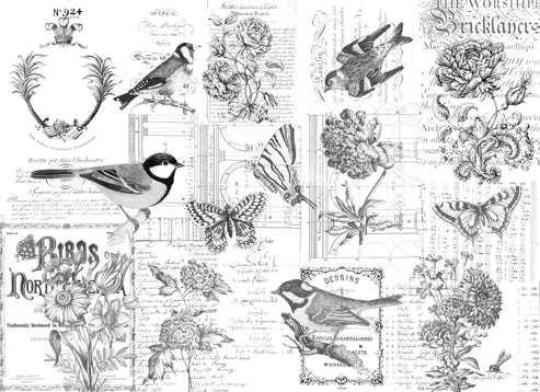 Paintable Botanical - Roycycled Decoupage Paper