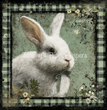 Soft Meadow Bunny Tissue Paper - Flippin Furniture