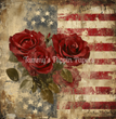 Stars, Stripes & Roses Tissue Paper - Flippin Furniture