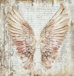 Blush Wings Tissue Paper - Flippin Furniture