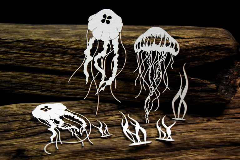 Chipboard Tropical Adventure, Jellyfish - Decoupage Queen