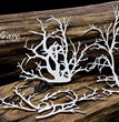 Chipboard Branches Set - Snipart