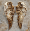 Bronze Wings Tissue Paper - Flippin Furniture