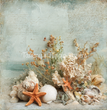 Collected by the Sea Tissue Paper - Flippin Furniture