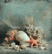 Coral Cove Tissue Paper - Flippin Furniture