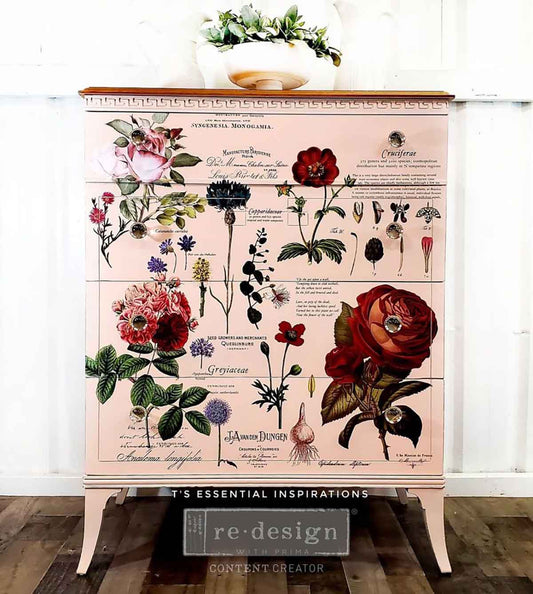 Vintage Botanical Decor Transfer - ReDesign with Prima