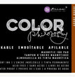 Color Philosophy Ink Pad - Prima Marketing