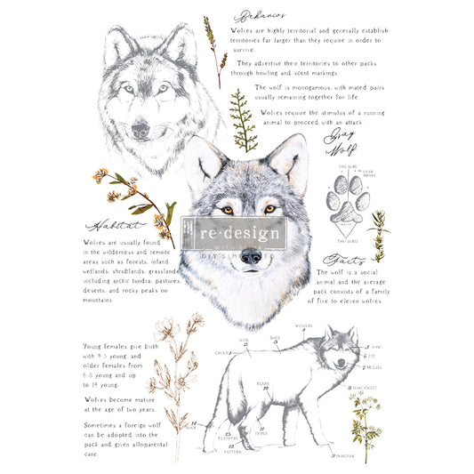 Gray Wolf Decor Transfer-  ReDesign with Prima