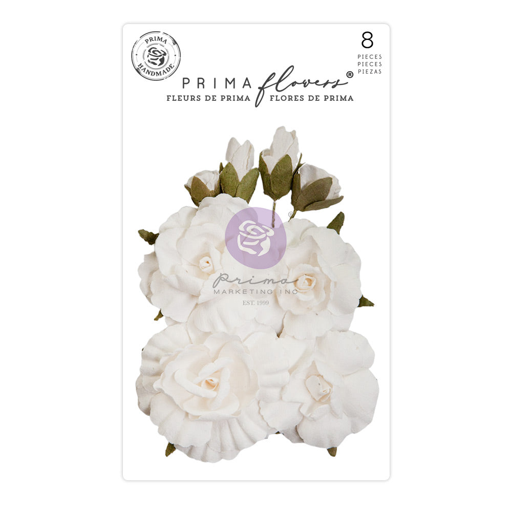 Lily White - Sharon ZIV Flowers - Prima Marketing