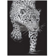 Feline Gaze A1 Decoupage Fiber Paper - ReDesign with Prima