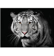 Monochrome Majesty A1 Decoupage Fiber Paper - ReDesign with Prima