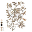 Branch Harmony Decor Transfer - ReDesign with Prima