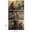 Avian Dreamscape A3 Decoupage Fiber Pack - ReDesign with Prima