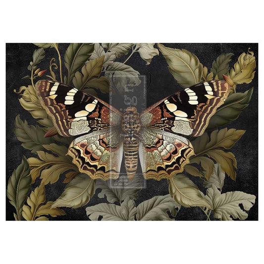 NEW - Butterfly Conservatory Tales A1 Decoupage Fiber - ReDesign with Prima