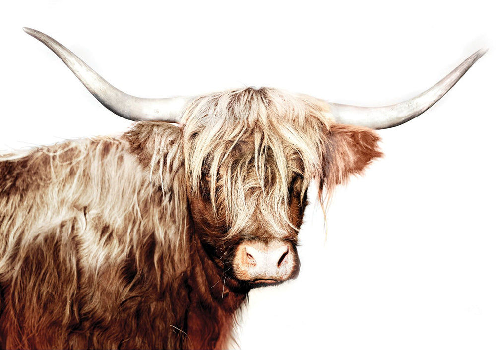 Majestic Moo A1 Decoupage Fiber Paper - ReDesign with Prima