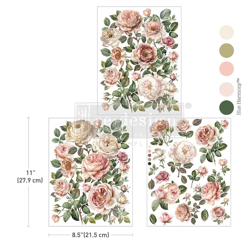Blush Blossoms Middy Decor Transfer - ReDesign with Prima