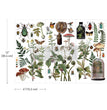 Botanical Archives Small Decor Transfer - ReDesign with Prima
