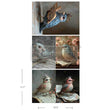 Rustic Flight A3 Decoupage Fiber Pack - ReDesign with Prima