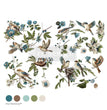 Aviary Elegance Decor Transfer - ReDesign with Prima